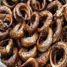 Blue Star Aristo 7 L RO + UV 